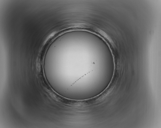 X0000115761067200911201153