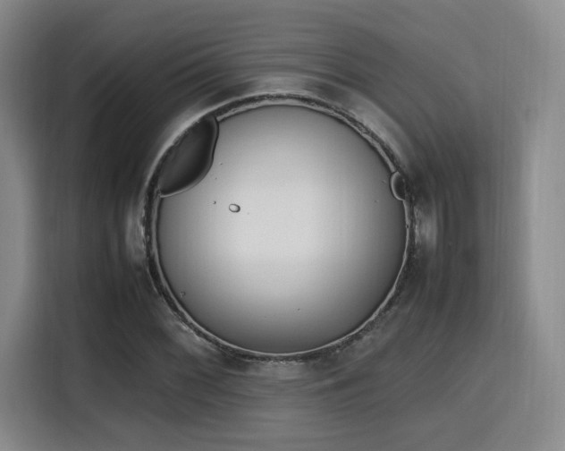 X0000115761068200911201153