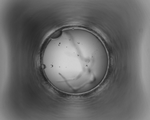 X0000115761069200911201153
