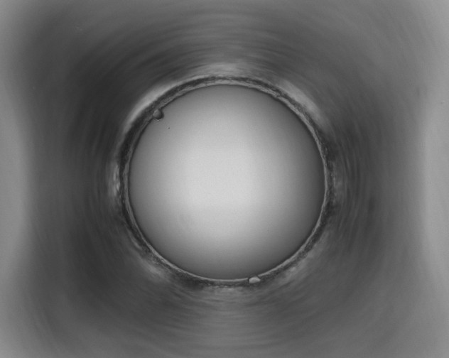 X0000115761070200911201153