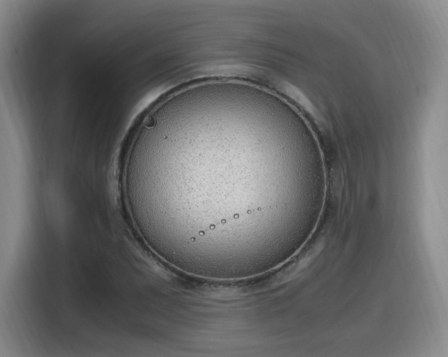 X0000115761071200911201153
