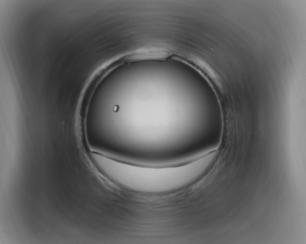 X0000115761072200911201153