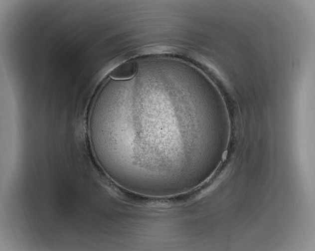 X0000115761073200911201153