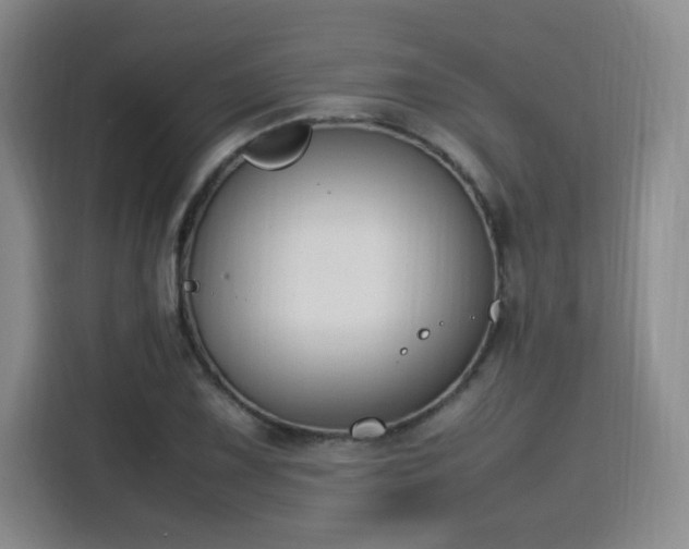 X0000115761075200911201153