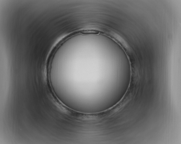 X0000115761076200911201153