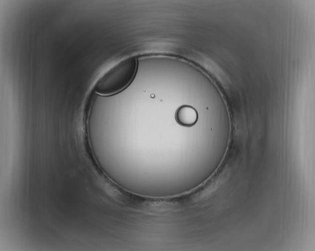 X0000115761077200911201153