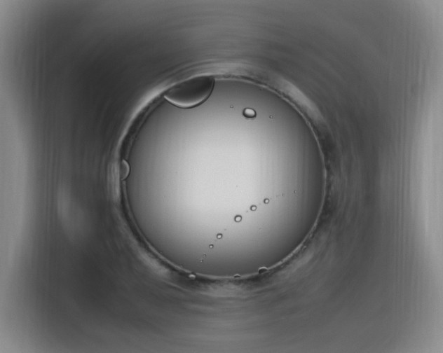 X0000115761079200911201153