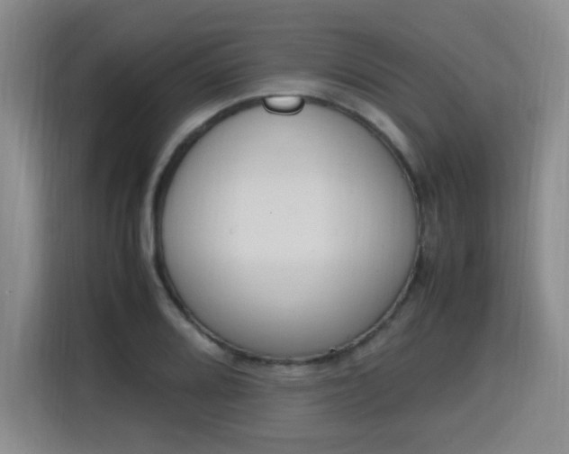 X0000115761080200911201153