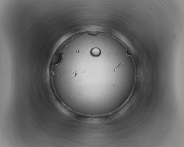 X0000115761082200911201153
