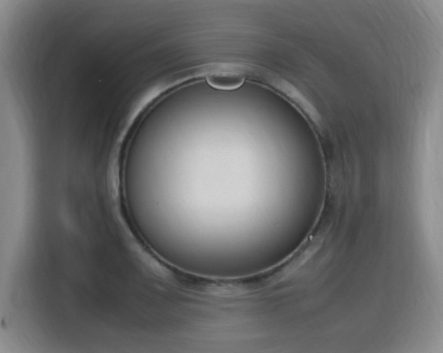 X0000115761083200911201153
