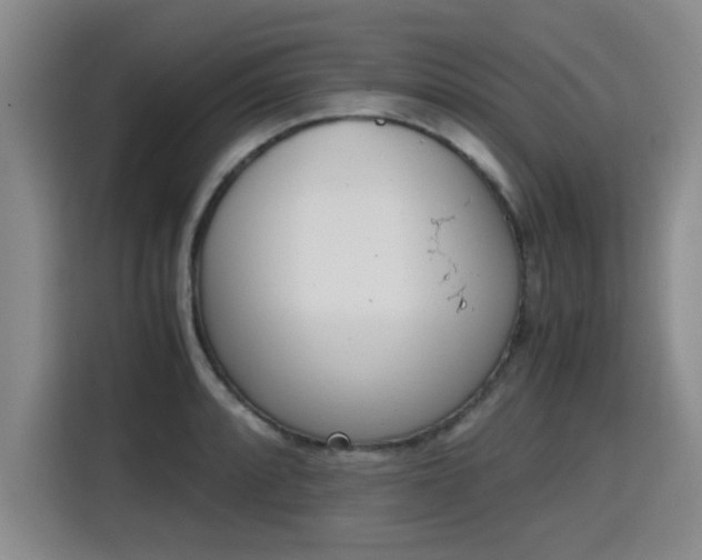 X0000115761088200911201153