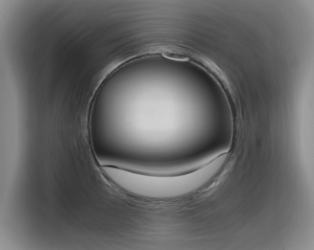 X0000115761089200911201153