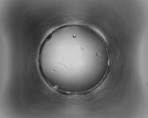 X0000115761093200911201153