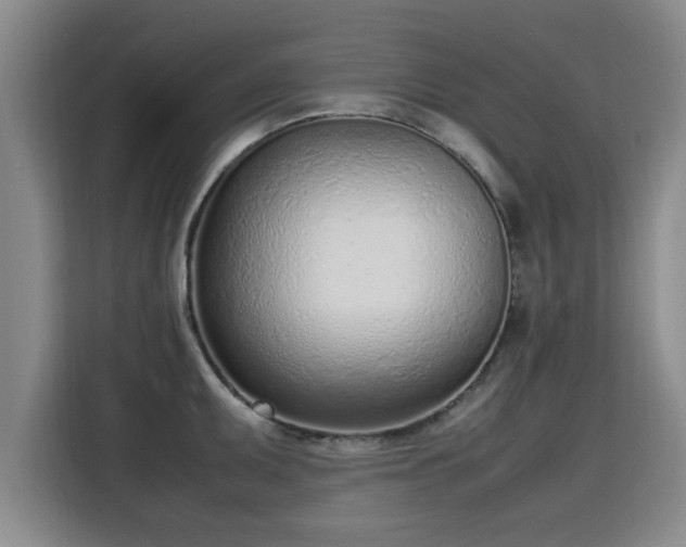 X0000115761095200911201153