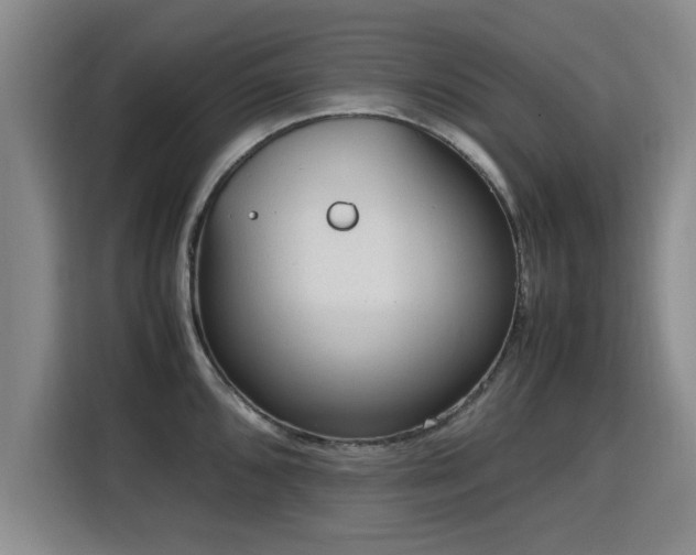 X0000115761096200911201153