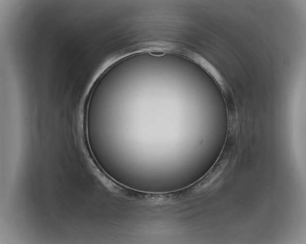 X0000115761099200911201153