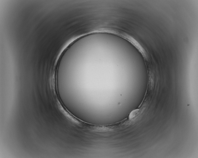 X0000115761100200911201153