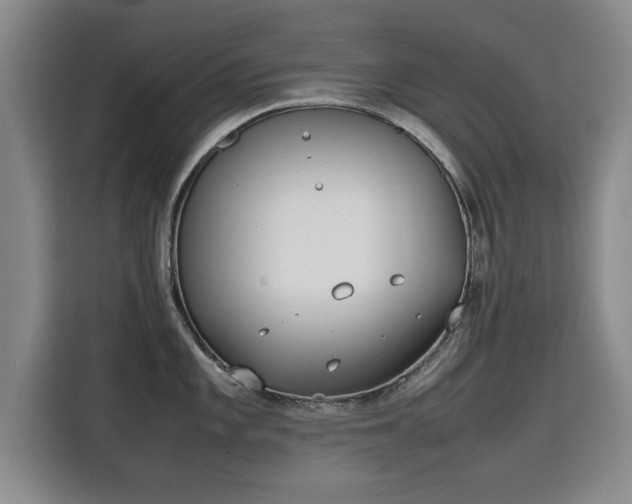 X0000115761101200911201153