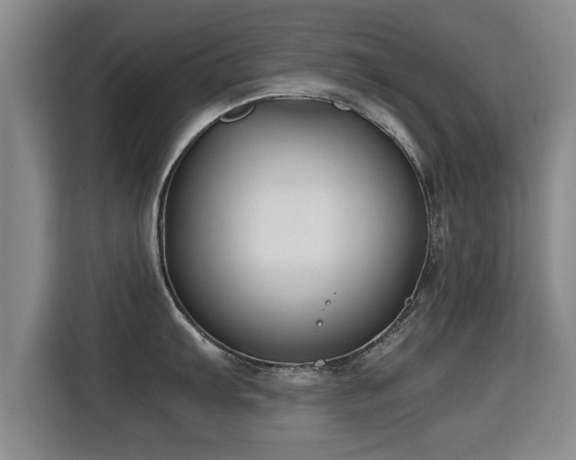 X0000115761103200911201153