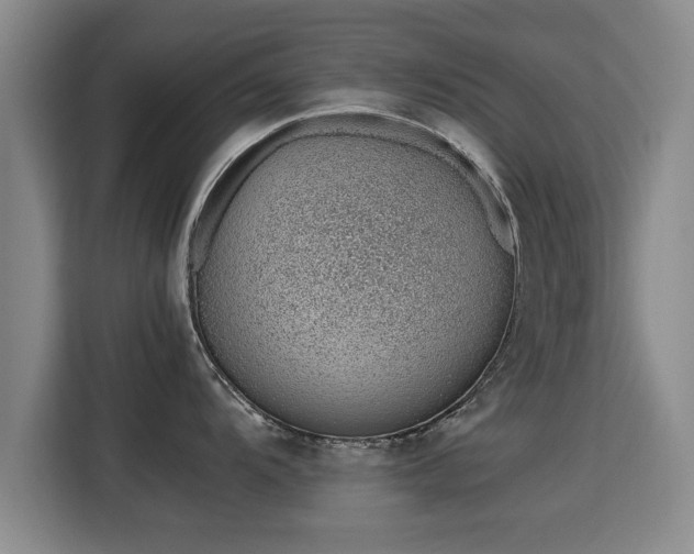 X0000115761104200911201153