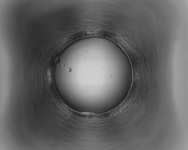 X0000115761106200911201152