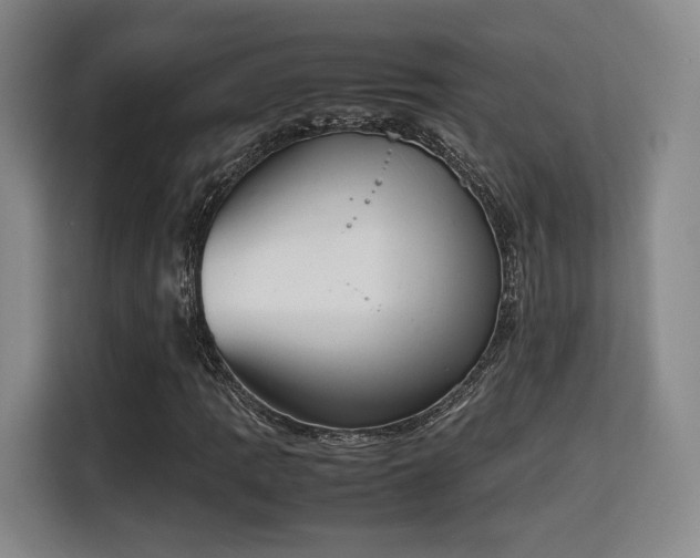 X0000115761109200911201152