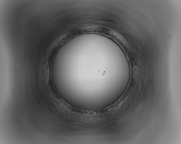 X0000115761111200911201152