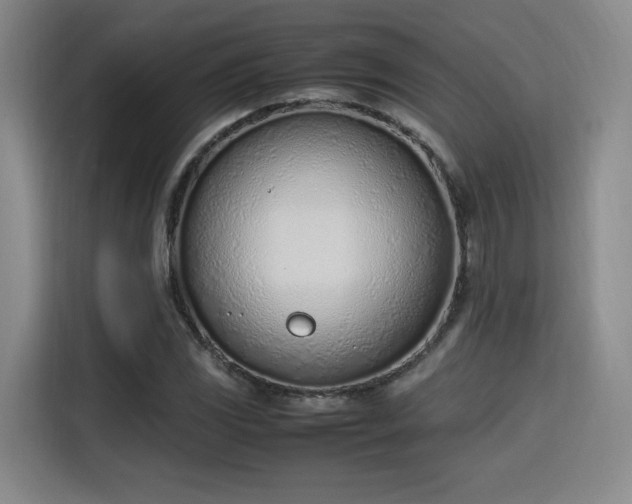 X0000115761117200911201153