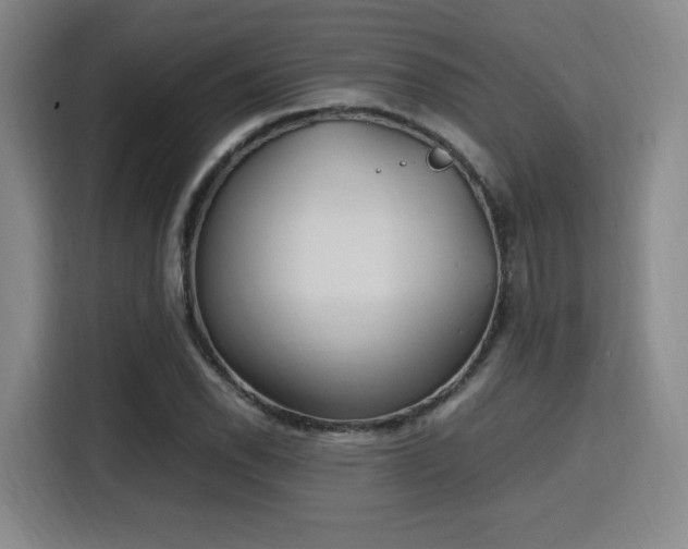X0000115761118200911201153