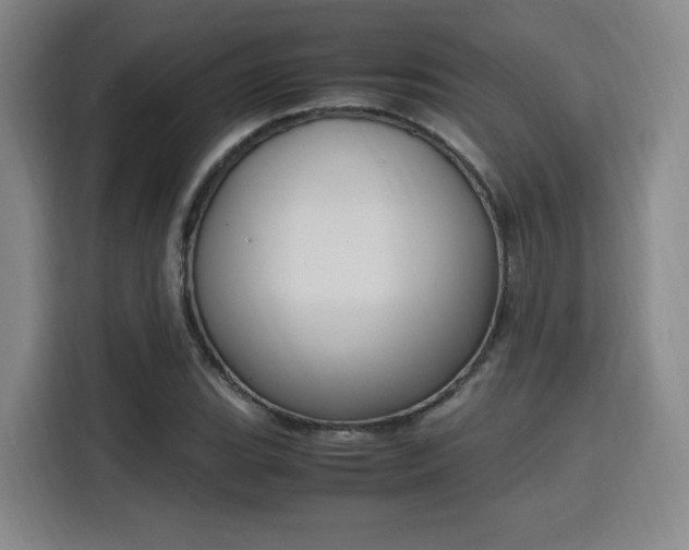 X0000115761119200911201153