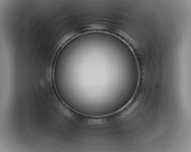 X0000115761121200911201153