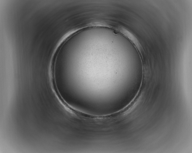 X0000115761141200911201153