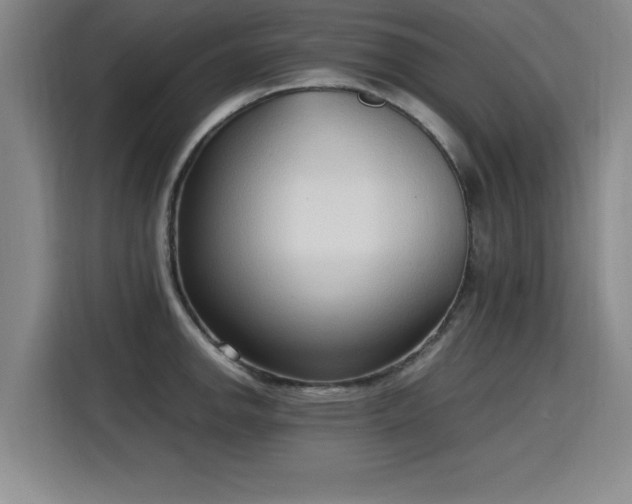 X0000115761142200911201153