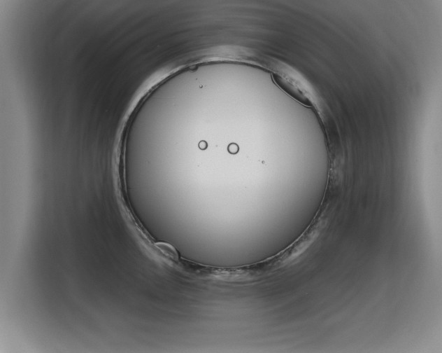 X0000115761146200911201153