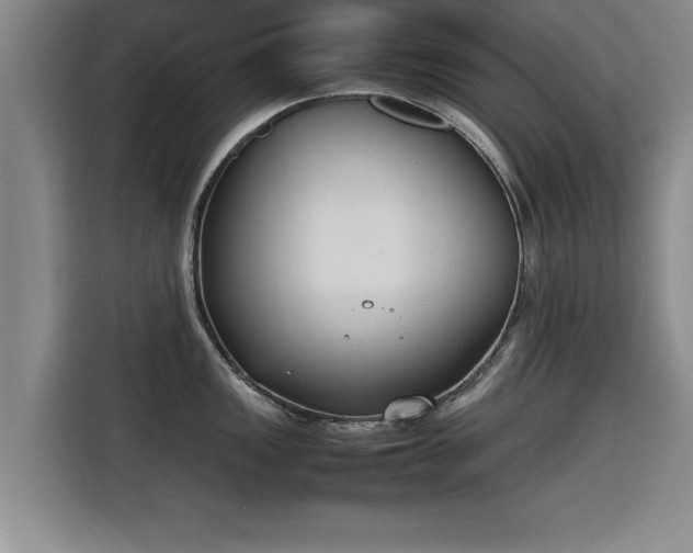 X0000115761149200911201153