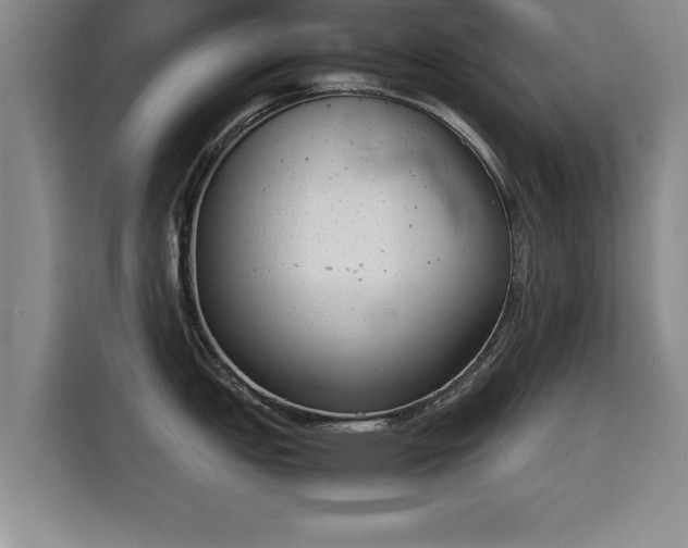X0000115761151200911201153