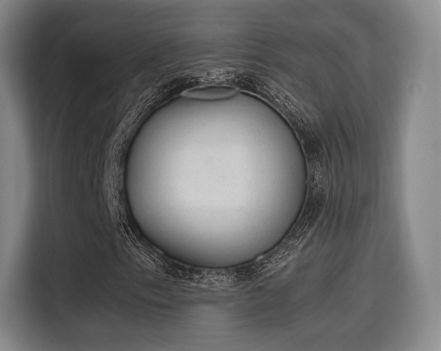 X0000115761153200911201152