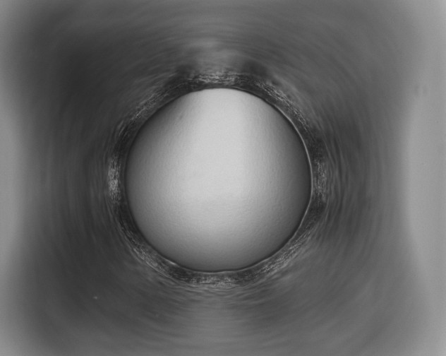 X0000115761154200911201152