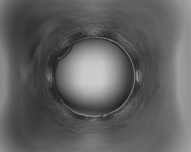 X0000115761155200911201152