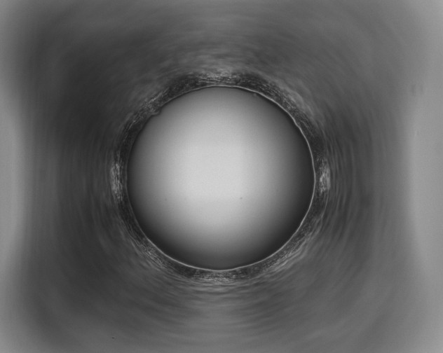 X0000115761156200911201152