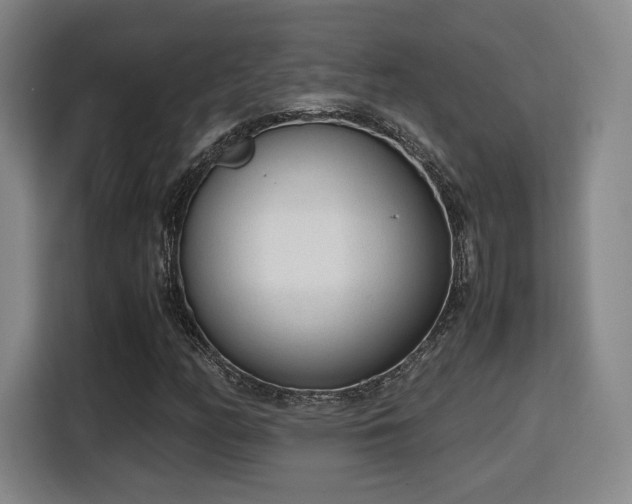 X0000115761158200911201152