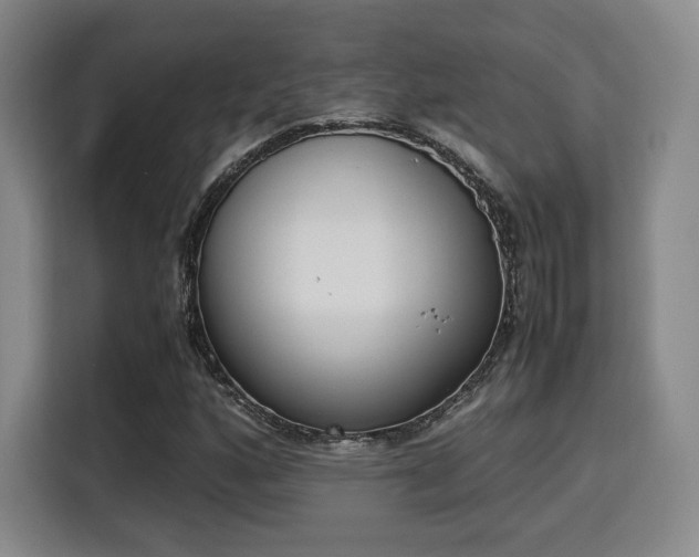X0000115761160200911201152