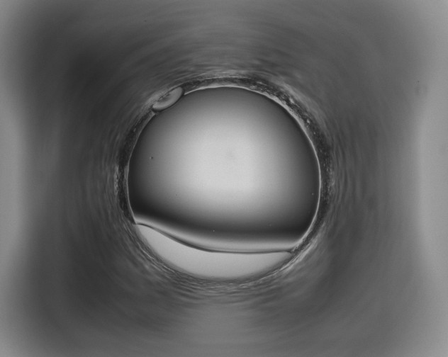 X0000115761161200911201152