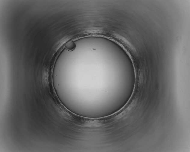 X0000115761162200911201152