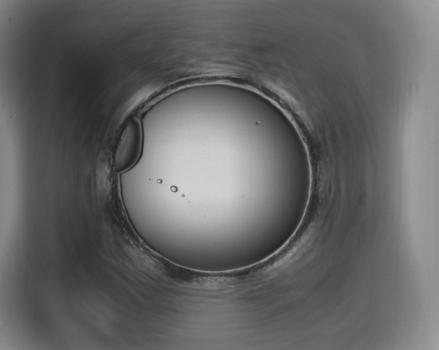 X0000115761163200911201152