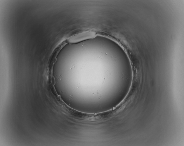 X0000115761165200911201152