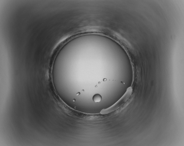 X0000115761166200911201152