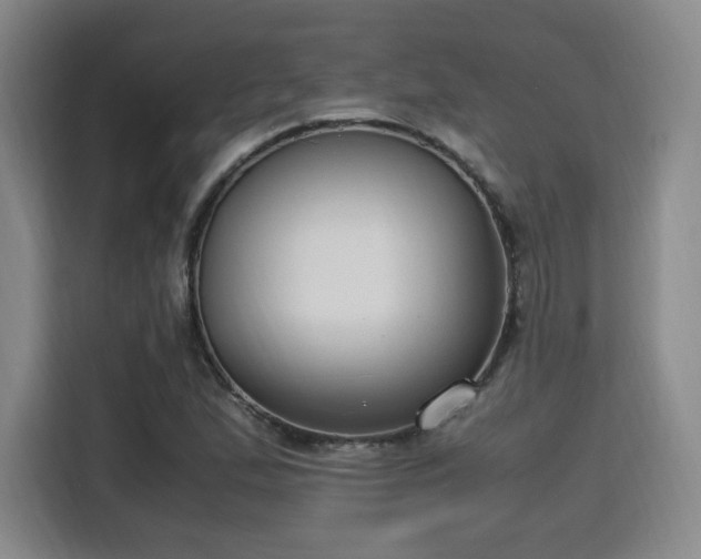 X0000115761167200911201152