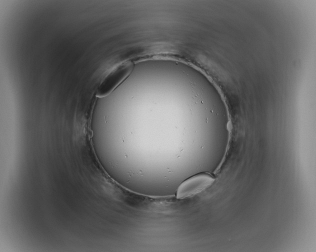 X0000115761169200911201152
