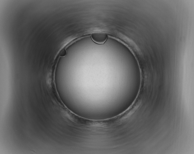 X0000115761170200911201152